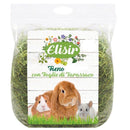 Fieno con Tarassaco 500 gr