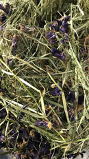 Fieno con Echinacea 500 gr